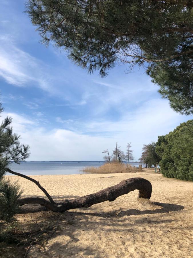 Gite Au Coeur Des Landes Lue Exterior foto
